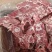 满肉羊蝎子