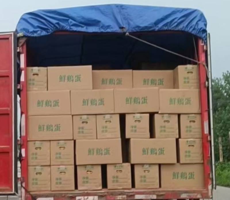 一手货源，场地直发