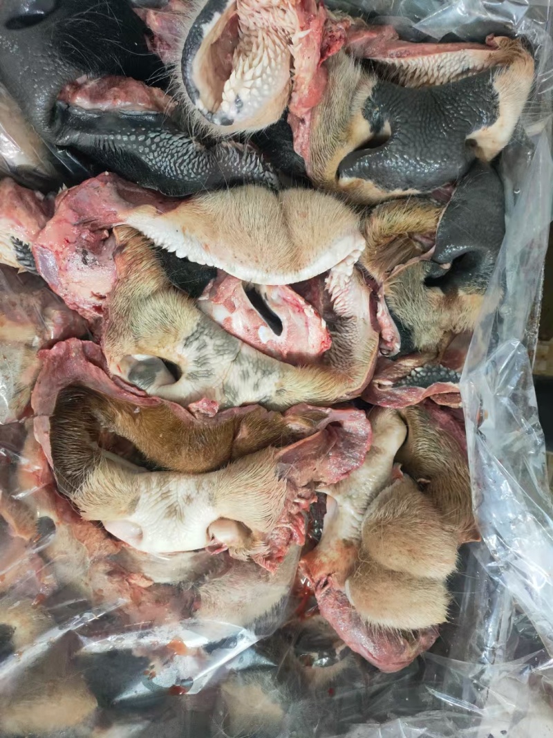 带毛牛鼻子，国产好货源。工厂直发。