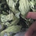 薄荷精品薄荷叶批发各种规格薄荷质量保证量大从优