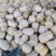 湖北小南瓜金香花生南瓜产地一手货源实力代发全国
