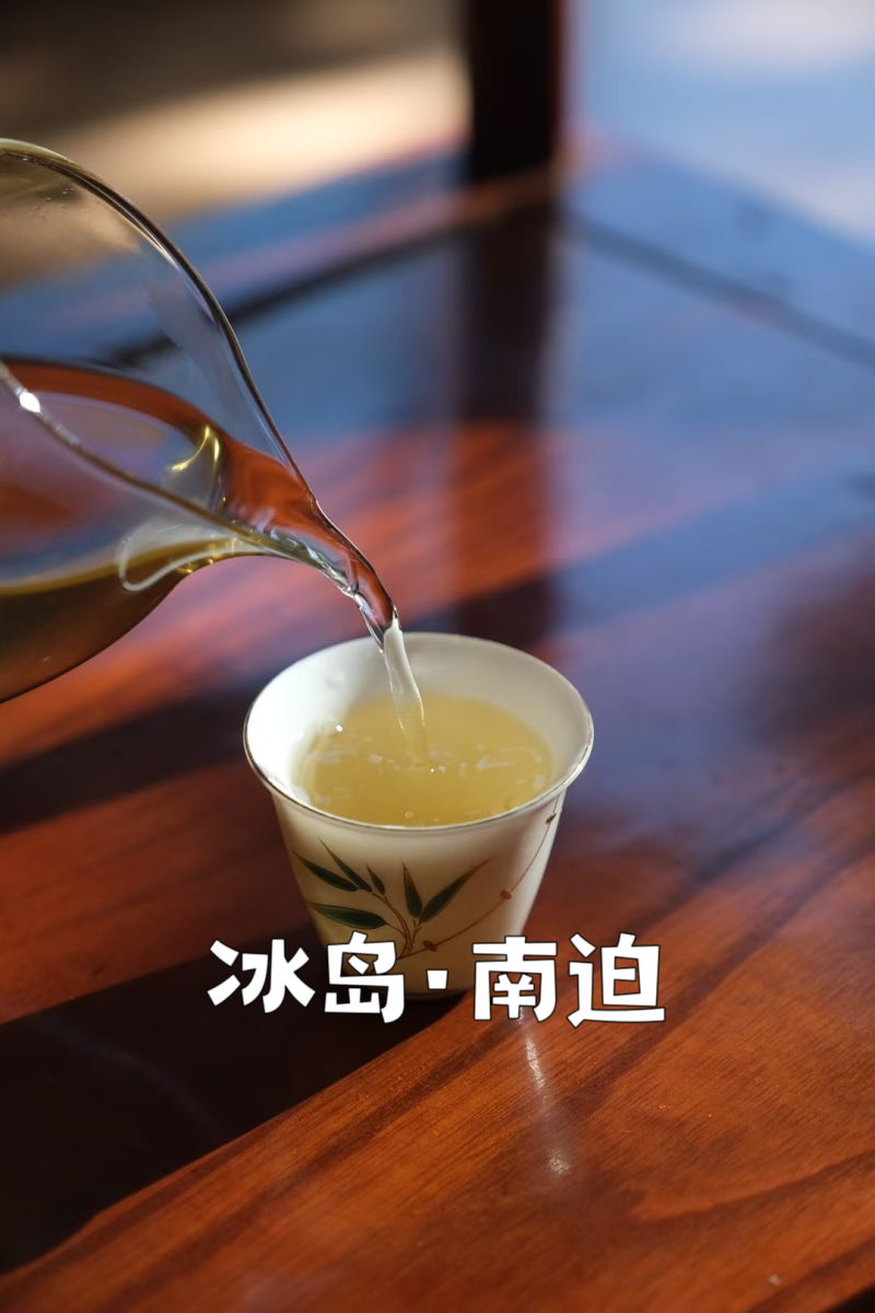 冰岛古树茶·普洱茶生普云南临沧冰岛古树