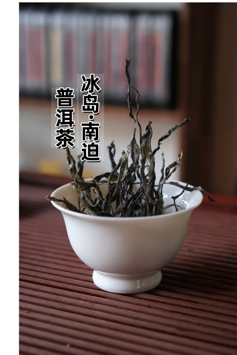 冰岛古树茶·普洱茶生普云南临沧冰岛古树