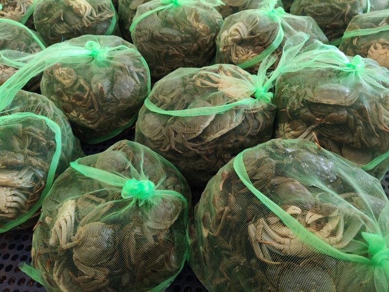 鲜活六月黄，规格齐全，当天捕捞