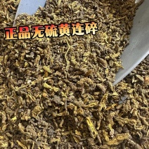 正品黄连碎无硫新货四川黄连筛子漏渣子