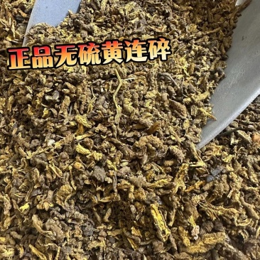 正品黄连碎无硫新货四川黄连筛子漏渣子