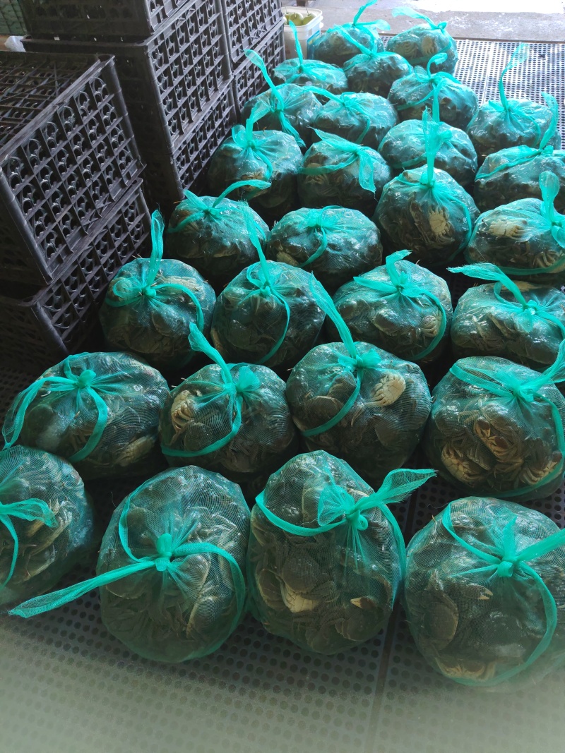 鲜活六月黄，规格齐全，当天捕捞