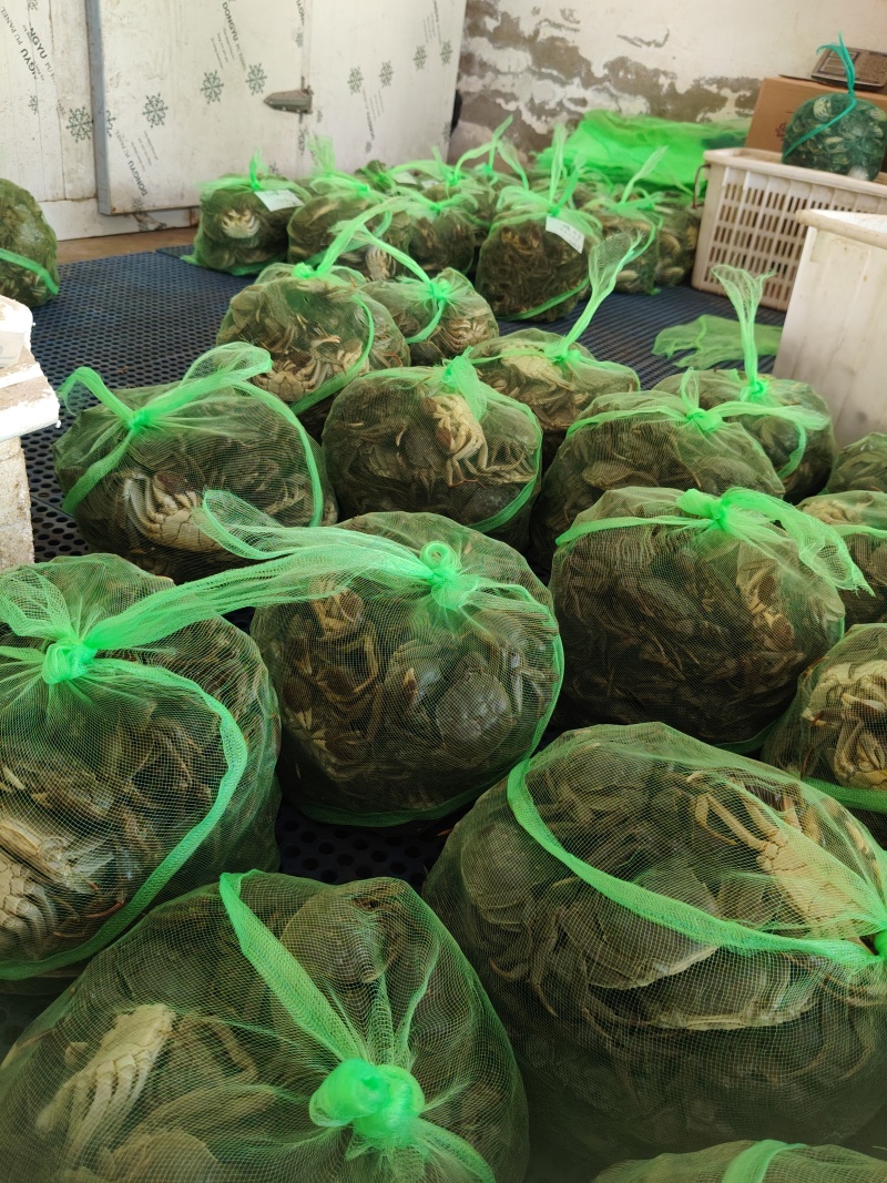 鲜活六月黄，规格齐全，当天捕捞