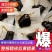 九华山野生制黄精独立包装九蒸九晒野生黄精黄精即食泡茶