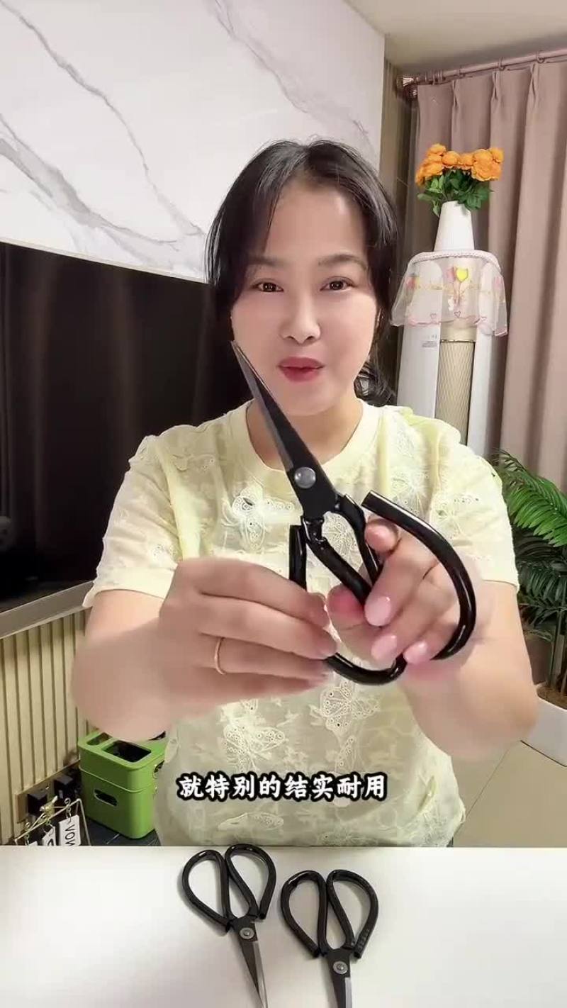 德国进口不锈钢剪刀家用菜刀多功能剪子黑色尖头剪纸居家裁缝