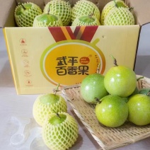 钦蜜9号黄金百香果