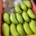 桂七芒果大量上市品质保证量大从优一手货源欢迎联系