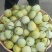 小甜瓜