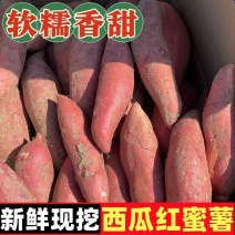 河北西瓜红蜜薯品质保证诚信经营欢迎联系接商超市场电商