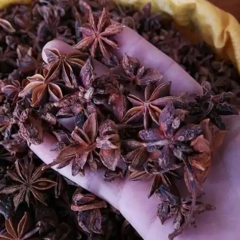 云南大红八角无硫过晒选带把