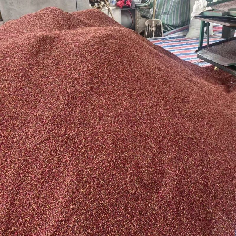 正宗汉源花椒，原产地直接发货，汉源贡椒又香又麻