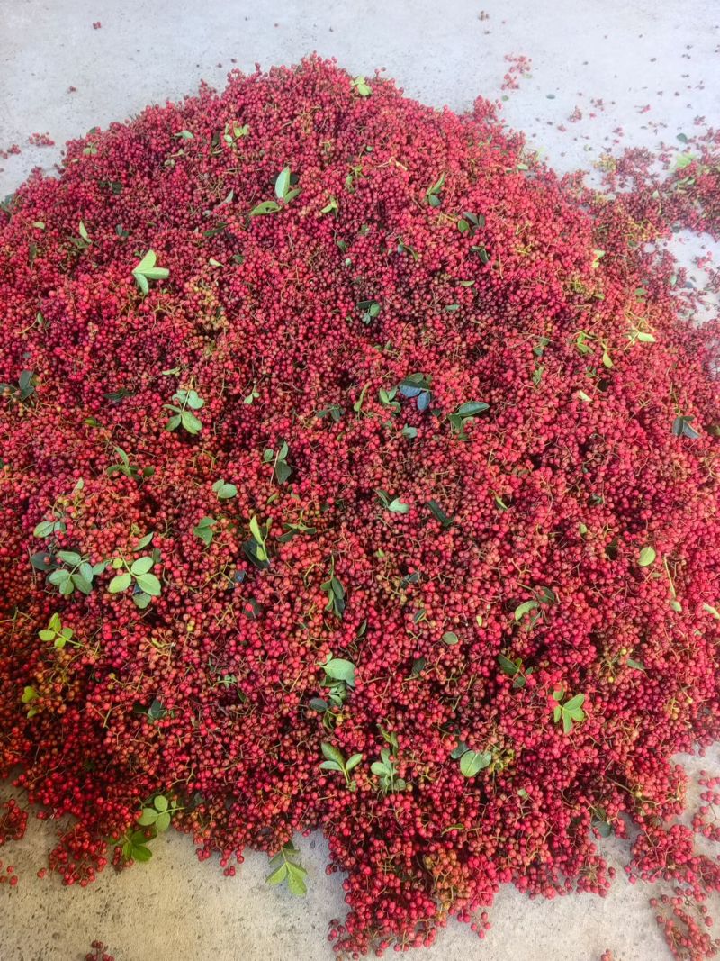 正宗汉源花椒，原产地直接发货，汉源贡椒又香又麻