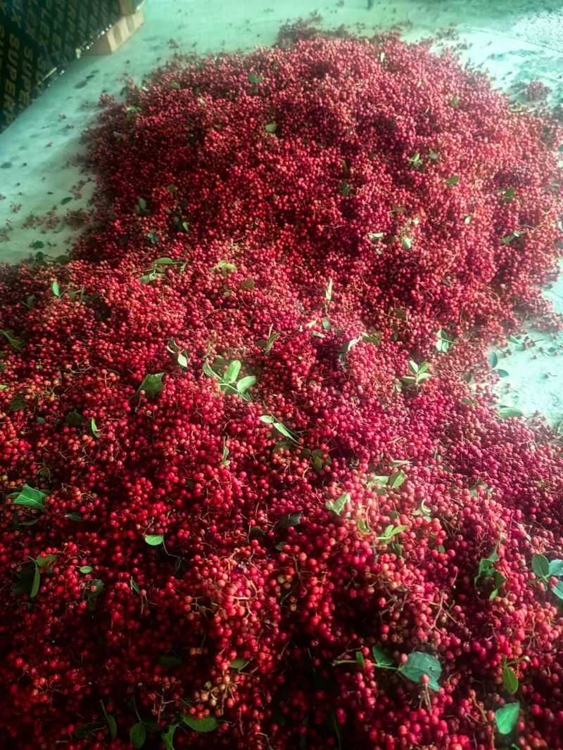 正宗汉源花椒，原产地直接发货，汉源贡椒又香又麻