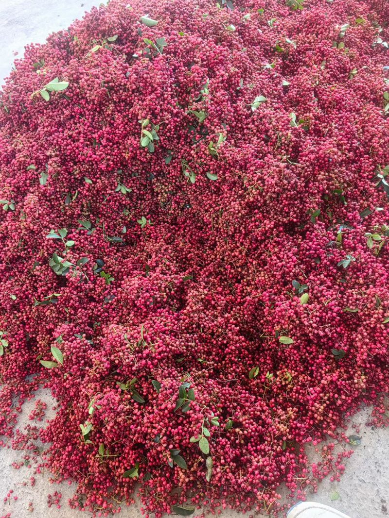 正宗汉源花椒，原产地直接发货，汉源贡椒又香又麻