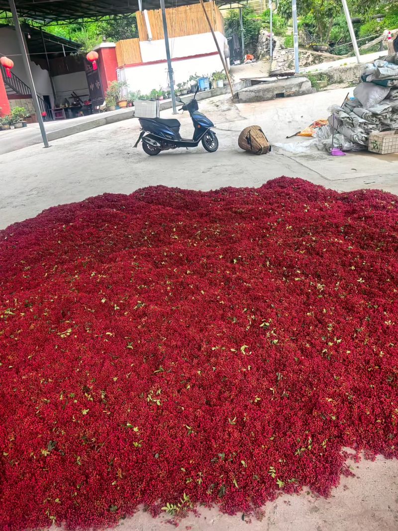 正宗汉源花椒，原产地直接发货，汉源贡椒又香又麻