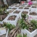 江西赣南安远紫山药大量有货支持预可对接各种类型客商欢迎来