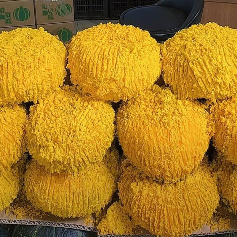 贝贝南瓜