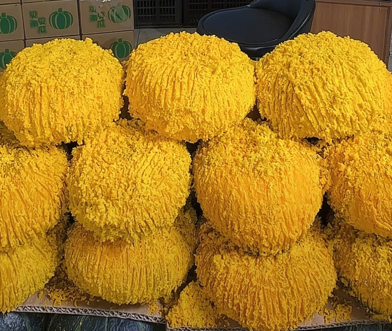 贝贝南瓜