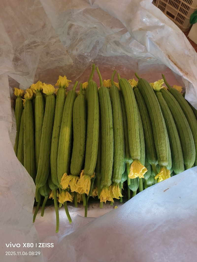 鲜花丝瓜