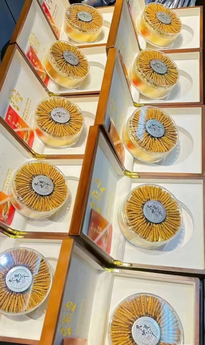西藏那曲高海拔冬虫夏草，价格便宜，品质优良，开箱验货。