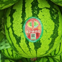 【硒砂瓜】大量上市，品质三包“中”字标石头瓜原产地