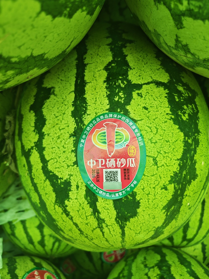 【硒砂瓜】大量上市，品质三包“中”字标石头瓜原产地