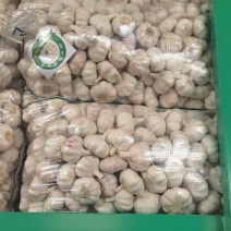 邳州净蒜新干蒜