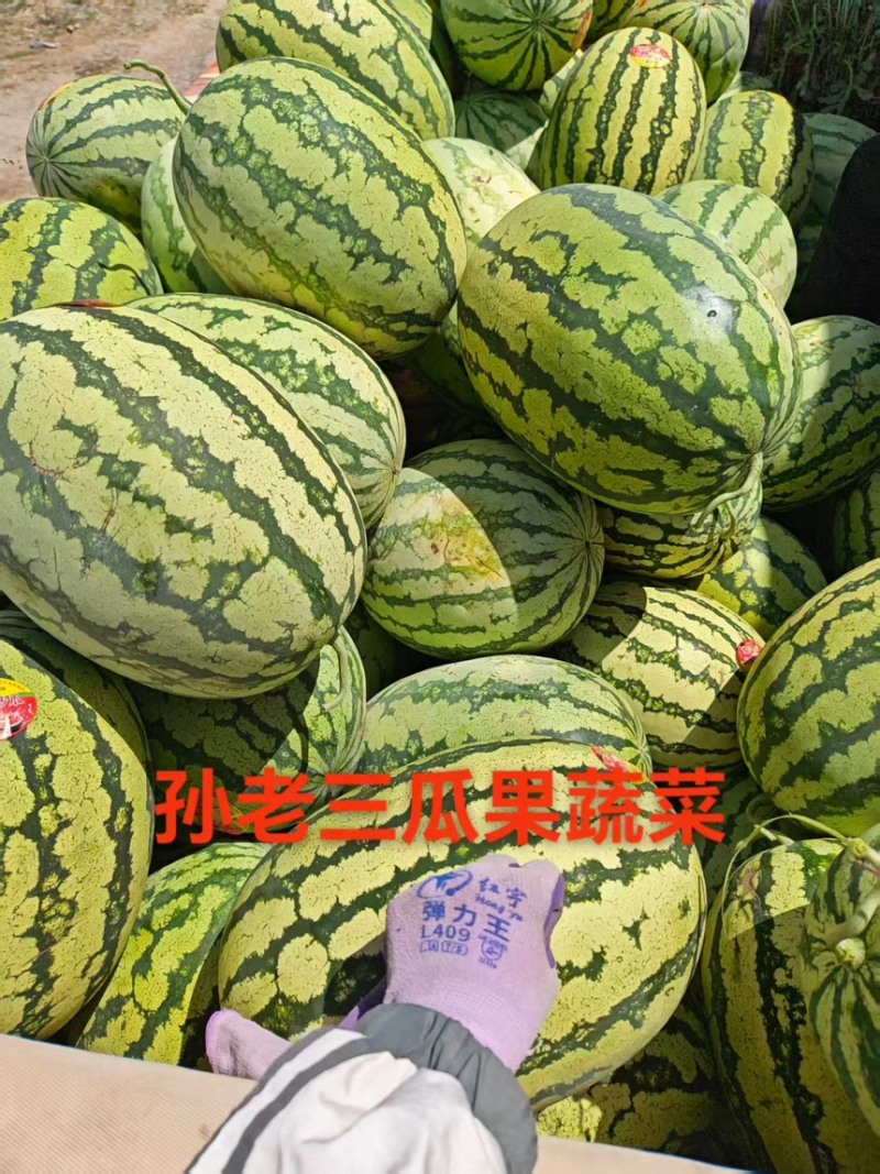 西瓜硒砂瓜个头大汁水多产地直供一手货源欢迎咨询