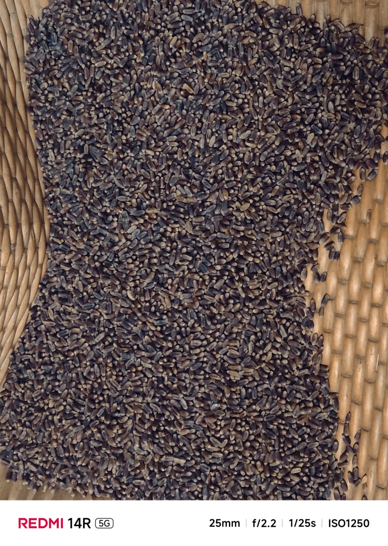 富硒黑麦面粉