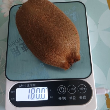 米良猕猴桃一号