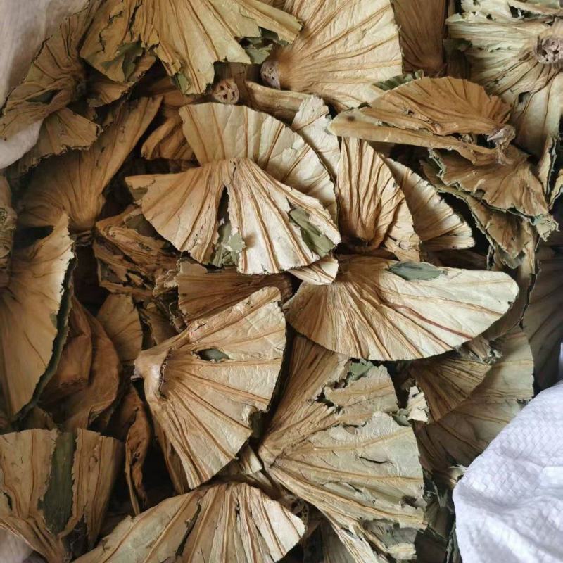 荷蒂干货荷叶蒂中药材欢迎选购！量大从优！