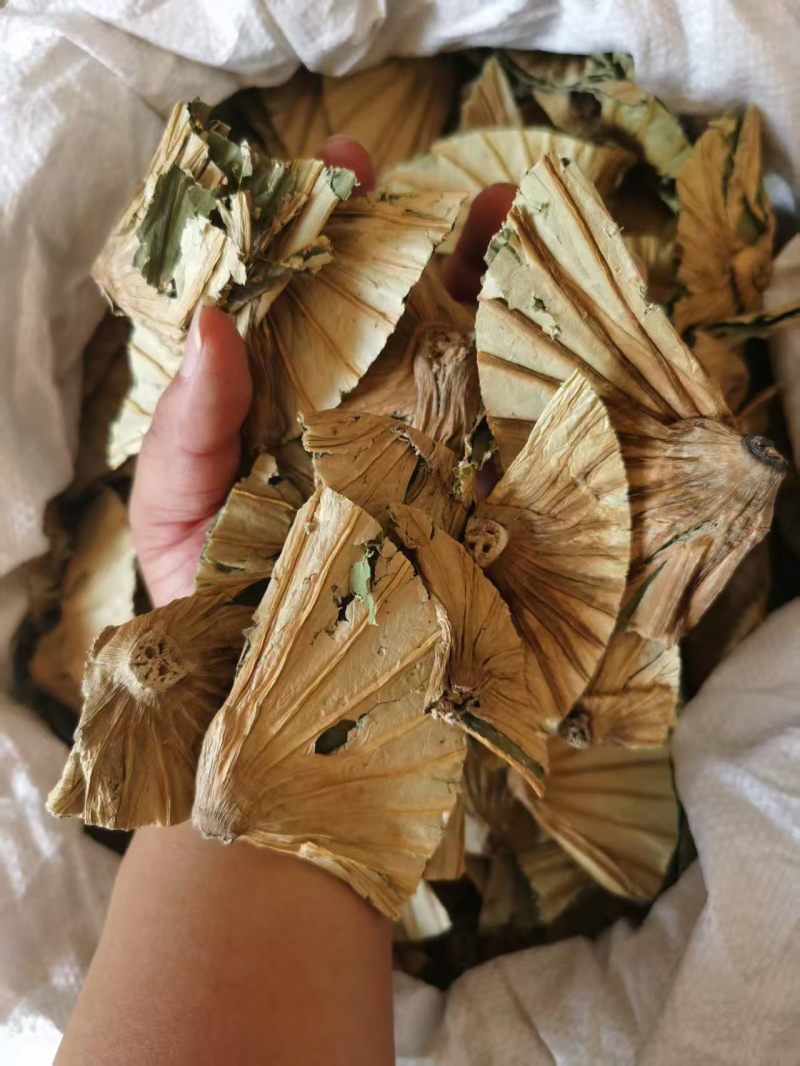 荷蒂干货荷叶蒂中药材欢迎选购！量大从优！