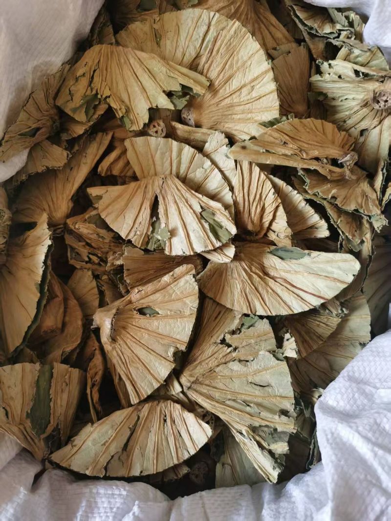 荷蒂干货荷叶蒂中药材欢迎选购！量大从优！