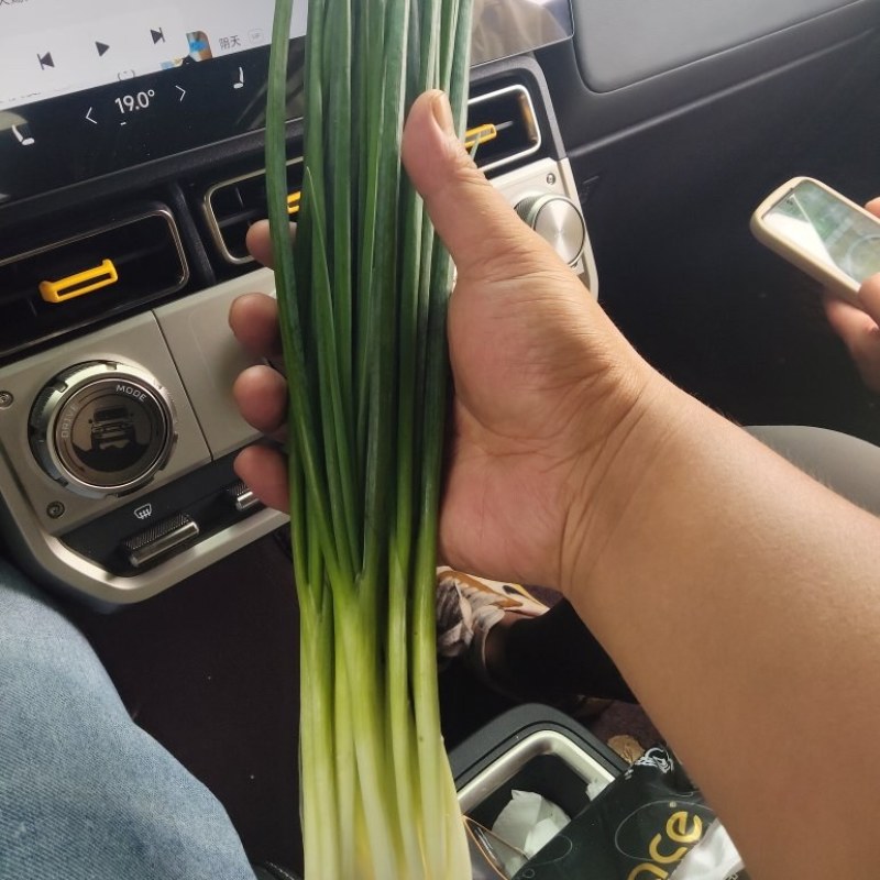 精品云南小葱