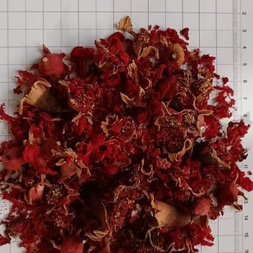 石榴花干货石榴花中药材欢迎选购！量大从优！