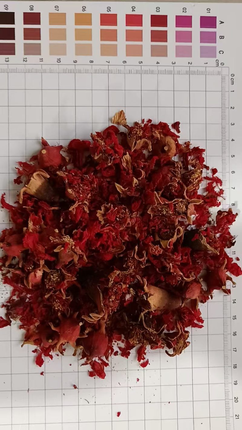 石榴花干货石榴花中药材欢迎选购！量大从优！