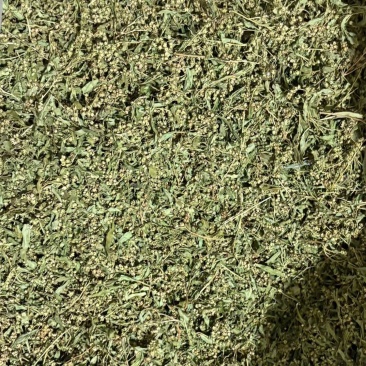 赶黄草花干货赶黄草花中药材欢迎选购！量大从优！