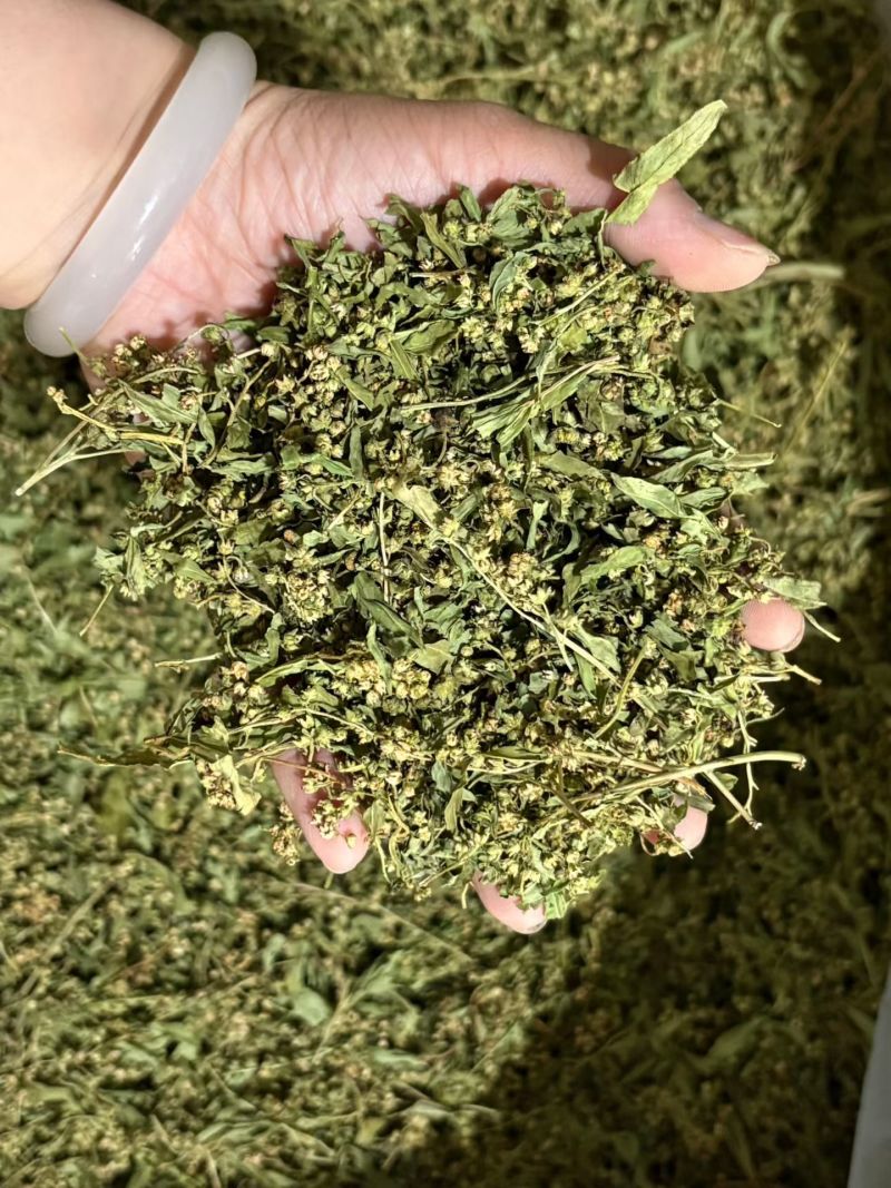 赶黄草花干货赶黄草花中药材欢迎选购！量大从优！