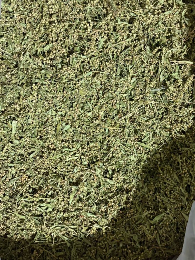 赶黄草花干货赶黄草花中药材欢迎选购！量大从优！