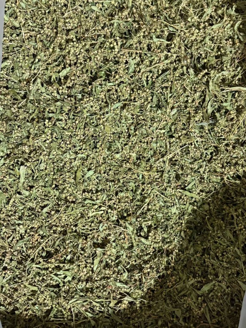 赶黄草花干货赶黄草花中药材欢迎选购！量大从优！