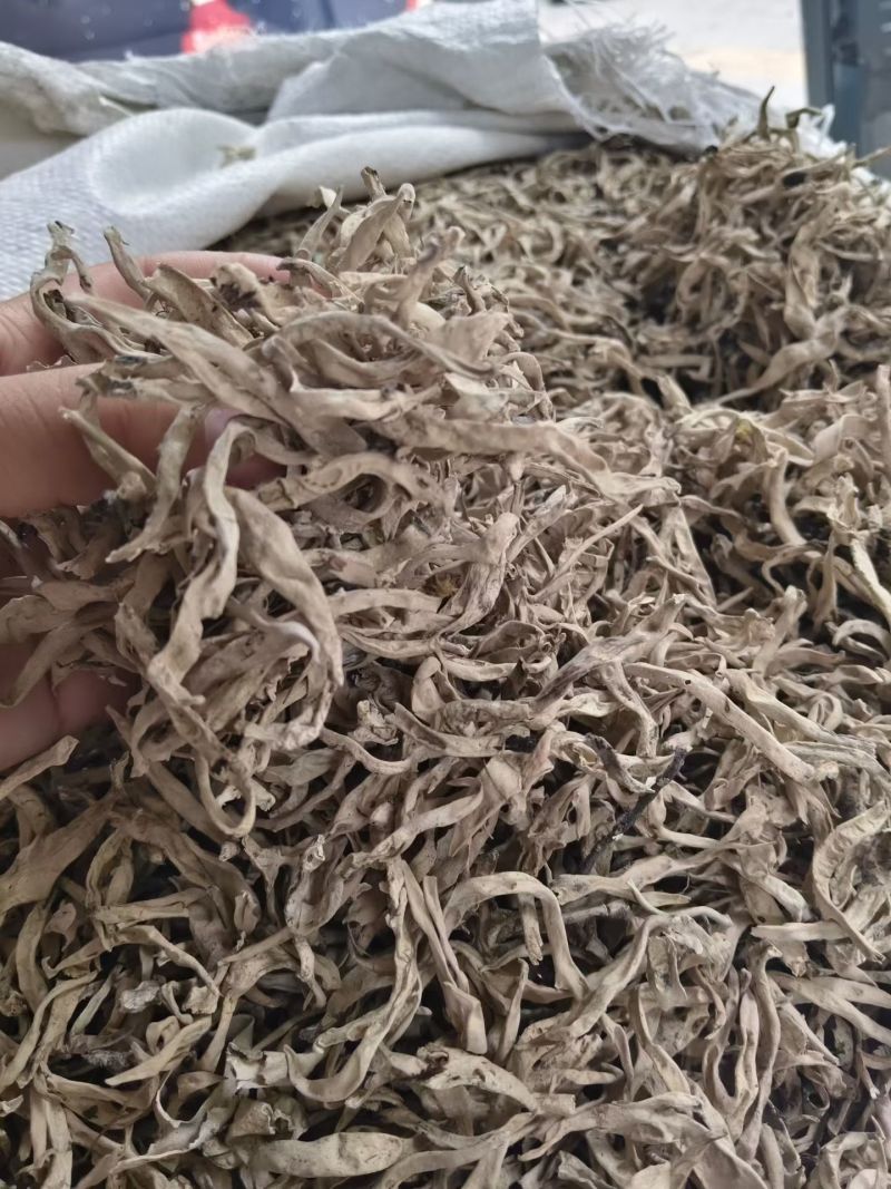 白雪茶干货白雪茶欢迎选购！量大从优！