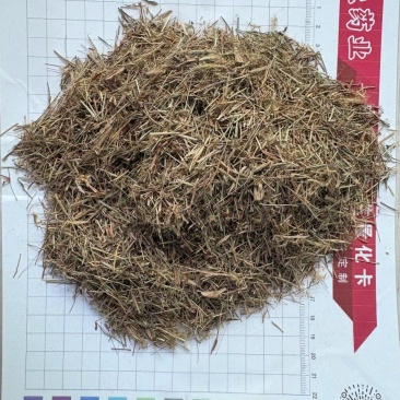 金丝草干货金丝草欢迎选购！量大从优！