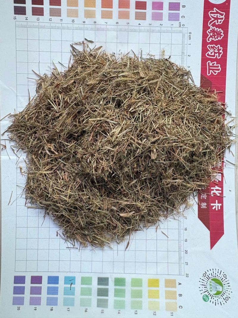 金丝草干货金丝草欢迎选购！量大从优！