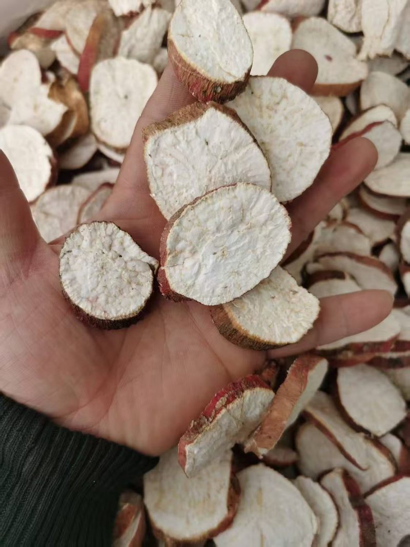 地骷髅干货地骷髅中药材欢迎选购！量大从优！