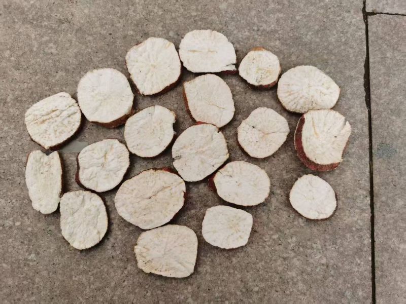 地骷髅干货地骷髅中药材欢迎选购！量大从优！